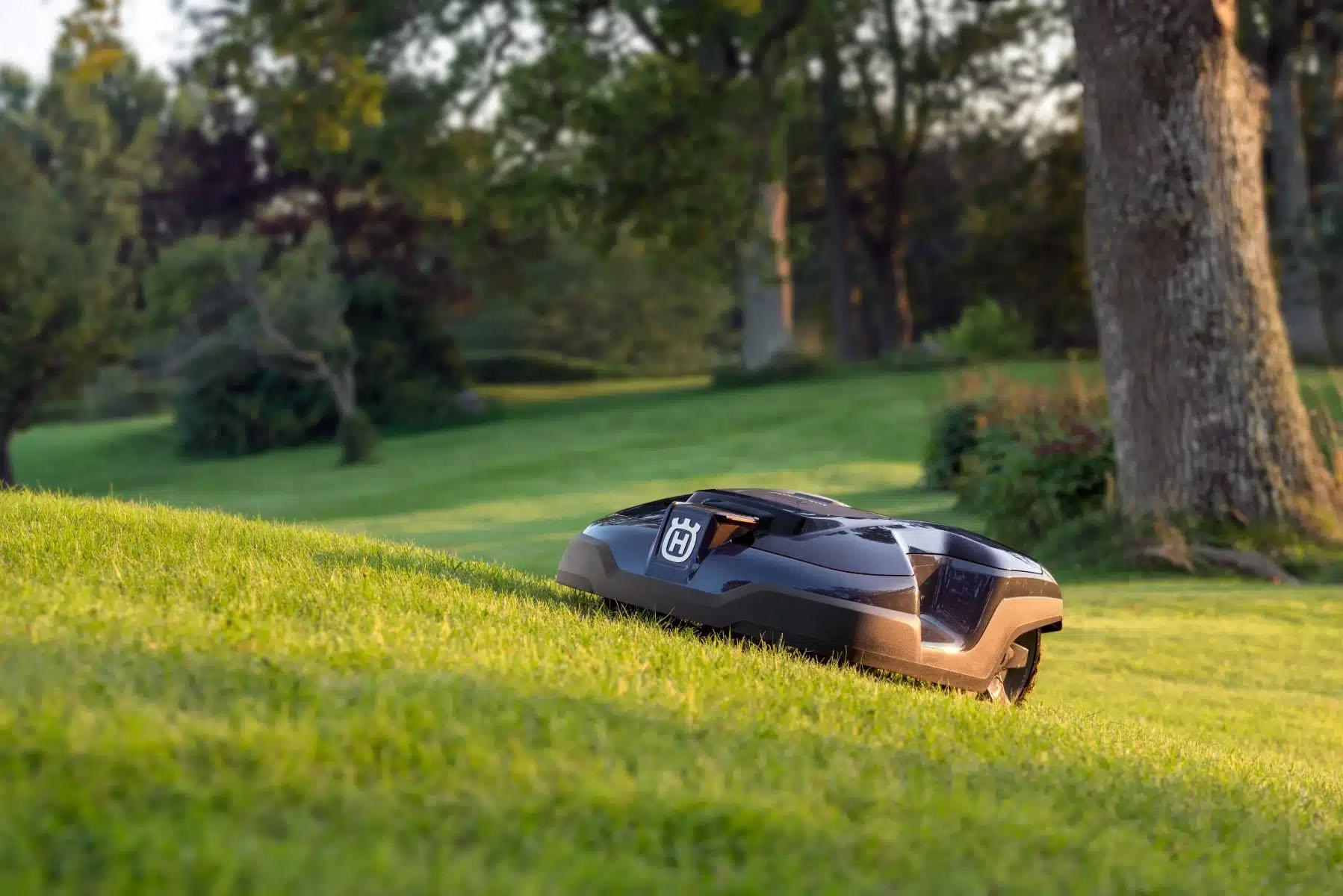 Een robotmaaier kopen die bij je tuin past | Lecoba
